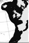 Galeorhinus galeus_02.jpg